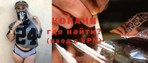 прущие грибы Новодвинск