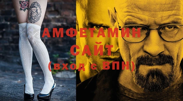 прущие грибы Новодвинск