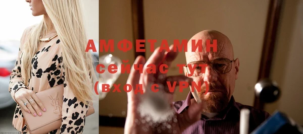 прущие грибы Новодвинск
