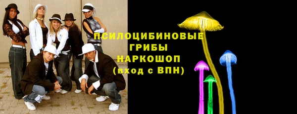a pvp Новозыбков