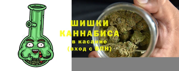 a pvp Новозыбков