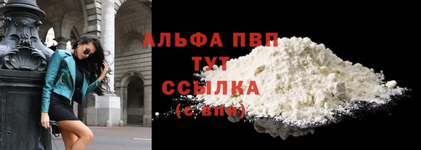 a pvp Новозыбков