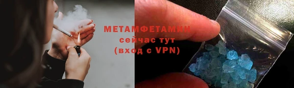 прущие грибы Новодвинск