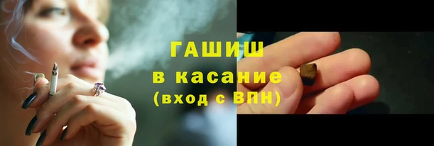прущие грибы Новодвинск