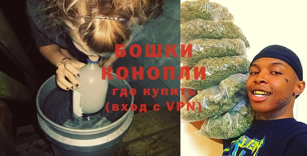 прущие грибы Новодвинск