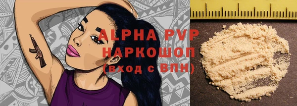 a pvp Новозыбков