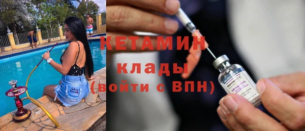 прущие грибы Новодвинск