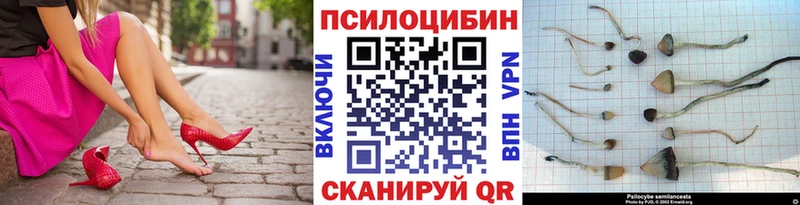 Галлюциногенные грибы Magic Shrooms Шарыпово