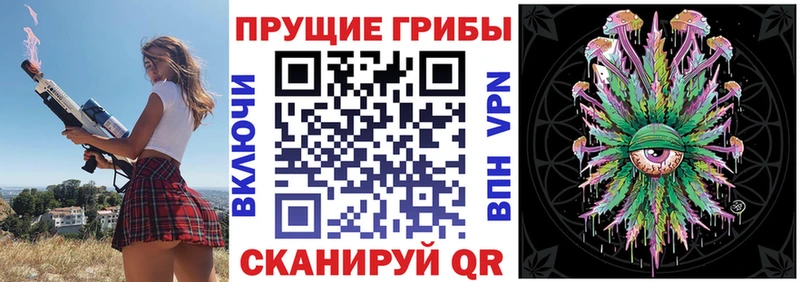 Купить закладки  Шарыпово  Псилоцибиновые грибы GOLDEN TEACHER 